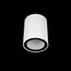 LOFT IT 10344 White Накладной светильник Rush, изображение 2