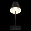 LOFT IT 10216/1W Black Настенный светильник Shelf, изображение 2