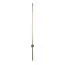LOFT IT 10052GD Настенный светильник Rays, изображение 3