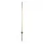 LOFT IT 10054GD Настенный светильник Rays, изображение 3
