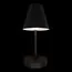 LOFT IT 10216/1W Black Настенный светильник Shelf, изображение 4