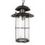 LOFT IT 100015P Уличный подвесной светильник Palermo, изображение 5