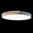 LOFT IT 10004/36 Grey Потолочный светильник Axel, изображение 4