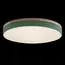 LOFT IT 10001/36 Green Потолочный светильник Axel, изображение 2