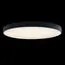 LOFT IT 10002/48 Black Потолочный светильник Axel, изображение 2