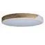 LOFT IT 10004/36 White Потолочный светильник Axel, изображение 3