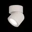 LOFT IT 10180 White 3000K Накладной светильник Tictac, изображение 2