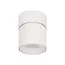 LOFT IT 10180 White 3000K Накладной светильник Tictac, изображение 4