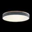 LOFT IT 10001/36 Grey Потолочный светильник Axel, изображение 2