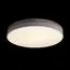 LOFT IT 10001/36 White Потолочный светильник Axel, изображение 2