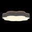 LOFT IT 10225/36 Grey Потолочный светильник Axel, изображение 4