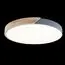 LOFT IT 10004/36 Grey Потолочный светильник Axel, изображение 2