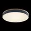 LOFT IT 10001/36 Grey Потолочный светильник Axel, изображение 3