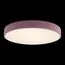 LOFT IT 10002/24 Pink Потолочный светильник Axel, изображение 2