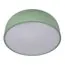 LOFT IT 10201/480 Green Потолочный светильник Axel, изображение 3