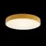 LOFT IT 10002/24 Yellow Потолочный светильник Axel, изображение 2