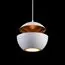 LOFT IT LOFT2213-A Подвесной светильник Apple, изображение 3