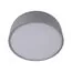 LOFT IT 10201/350 Grey Потолочный светильник Axel, изображение 3
