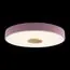 LOFT IT 10003/24 Pink Потолочный светильник Axel, изображение 2