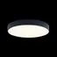 LOFT IT 10002/24 Black Потолочный светильник Axel, изображение 2