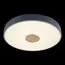 LOFT IT 10003/24 Grey Потолочный светильник Axel, изображение 4