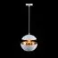 LOFT IT LOFT2213-A Подвесной светильник Apple, изображение 2