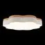 LOFT IT 10225/36 White Потолочный светильник Axel, изображение 4