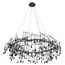 LOFT IT 10068/1000 BK Подвесная люстра Bijout, изображение 2