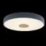 LOFT IT 10003/24 Grey Потолочный светильник Axel, изображение 2