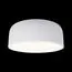 LOFT IT 10201/350 White Потолочный светильник Axel, изображение 2