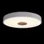 LOFT IT 10003/24 White Потолочный светильник Axel, изображение 2