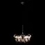 LOFT IT 10048/6 Black Подвесной светильник Bunch, изображение 2