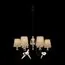LOFT IT LOFT1029A-6 Подвесная люстра Birds, изображение 2
