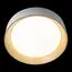 LOFT IT 10202 White Потолочный светильник Coin, изображение 4