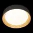 LOFT IT 10202 Grey Потолочный светильник Coin, изображение 6