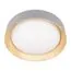 LOFT IT 10202 Grey Потолочный светильник Coin, изображение 5