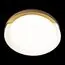 LOFT IT 10198 White Потолочный светильник Coin, изображение 6