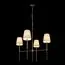 LOFT IT 10308 Nickel Подвесной светильник Cosy, изображение 2
