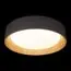 LOFT IT 10202 Grey Потолочный светильник Coin, изображение 2