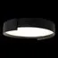 LOFT IT 10200 Black Потолочный светильник Coin, изображение 2