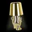 LOFT IT 10233/C Gold Настольная лампа Brothers, изображение 8