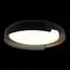 LOFT IT 10198 Black Потолочный светильник Coin, изображение 2