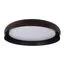 LOFT IT 10198 Black Потолочный светильник Coin, изображение 3