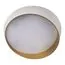 LOFT IT 10199 White Потолочный светильник Coin, изображение 3