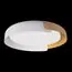 LOFT IT 10198 White Потолочный светильник Coin, изображение 2
