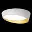 LOFT IT 10199 White Потолочный светильник Coin, изображение 2