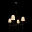 LOFT IT 10308 Antique Brass Подвесной светильник Cosy, изображение 2