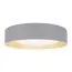 LOFT IT 10202 Grey Потолочный светильник Coin, изображение 3