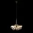 LOFT IT 10048/6 Gold Подвесной светильник Bunch, изображение 2