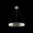 LOFT IT 10135/600 Gold Подвесной светильник Crystal ring, изображение 2
